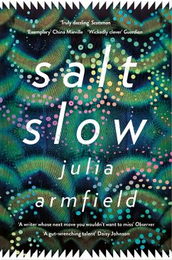 Salt Slow (eBook, ePUB) - Armfield, Julia