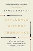 Affluence Without Abundance (eBook, ePUB)