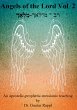 Angels of the Lord Vol. 2 (eBook, ePUB) - Bild 1