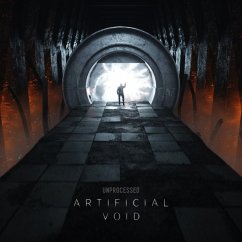 Cover Artificial Void