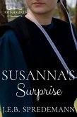 Susanna's Surprise (Amish Girls Series - Book 4) (eBook, ePUB)