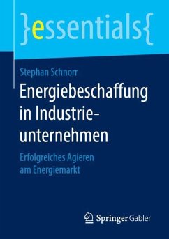 Energiebeschaffung in Industrieunternehmen - Schnorr, Stephan