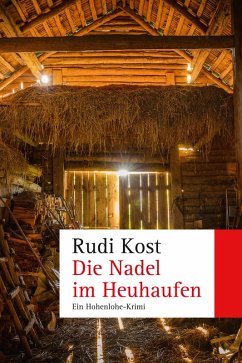 Die Nadel im Heuhaufen (eBook, ePUB) - Kost, Rudi