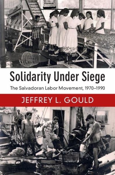 Solidarity Under Siege (eBook, ePUB)