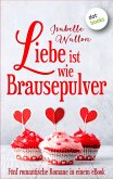 Liebe ist wie Brausepulver (eBook, ePUB)