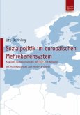 Sozialpolitik im europäischen Mehrebenensystem (eBook, PDF)