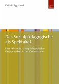 Das Sozialpädagogische als Spektakel (eBook, PDF)