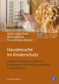 Hausbesuche im Kinderschutz (eBook, PDF)