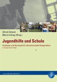 Jugendhilfe und Schule (eBook, PDF)