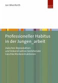 Professioneller Habitus in der Jungen_arbeit (eBook, PDF)