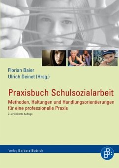 Praxisbuch Schulsozialarbeit (eBook, PDF)