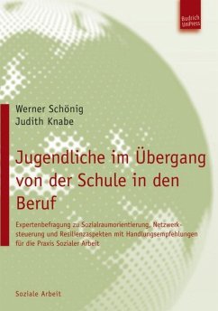 Jugendliche im Übergang von der Schule in den Beruf (eBook, PDF) - Schönig, Werner; Knabe, Judith