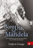 Bom dia, Sr. Mandela (eBook, ePUB)
