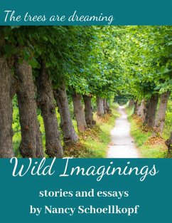 Wild Imaginings - Flash Fiction and Essays (eBook, ePUB) - Schoellkopf, Nancy