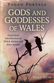 Pagan Portals - Gods and Goddesses of Wales (eBook, ePUB) Pagan Portals - Gods and Goddesses of Wales (eBook, ePUB)