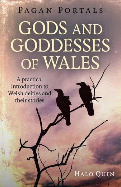 Pagan Portals - Gods and Goddesses of Wales (eBook, ePUB)
