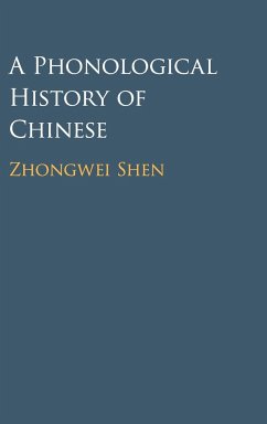 A Phonological History of Chinese - Shen, Zhongwei