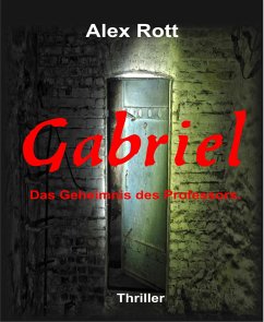 Gabriel (eBook, ePUB) - Rott, Alex