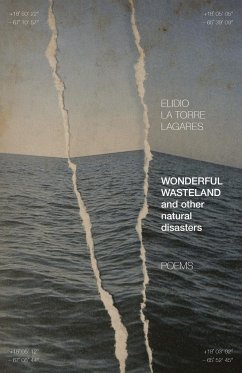 Wonderful Wasteland and other natural disasters - La Torre Lagares, Elidio