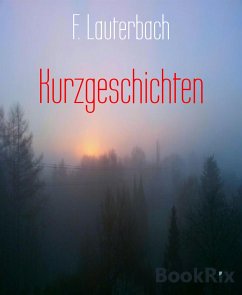 Kurzgeschichten (eBook, ePUB) - Lauterbach, F.