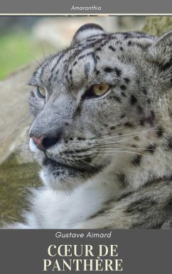 Cover Coeur de Panthère (eBook, ePUB)