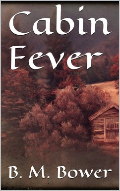 Cabin Fever (eBook, ePUB)