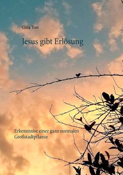 Jesus gibt Erlösung (eBook, ePUB) - Tost, Gitta