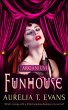 Funhouse (eBook, ePUB) - Bild 1
