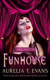 Funhouse (eBook, ePUB)