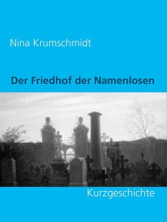 Cover Der Friedhof der Namenlosen (eBook, ePUB)