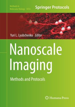 Nanoscale Imaging