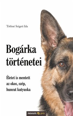 Cover Bogárka történetei