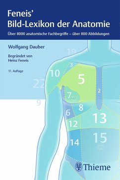 Bild-Lexikon der Anatomie - Dauber, Wolfgang