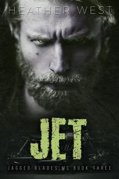 Cover Jet (Book 3) (eBook, ePUB)