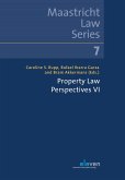 Property Law Perspectives VI