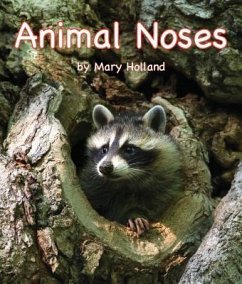 Animal Noses - Holland, Mary