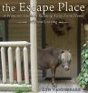 the Escape Place - Bild 1