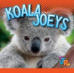 Koala Joeys - Besel, Jen