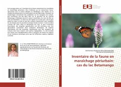 Inventaire de la faune en maraîchage périurbain: cas du lac Betamango - Rakotomalala, Zoriharisoa Ghyslaine Olive;Ramahefarison, Heriniaina