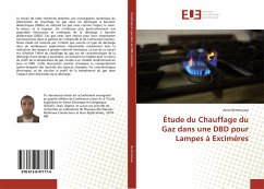 Étude du Chauffage du Gaz dans une DBD pour Lampes à Exciméres - Benmoussa, Amar