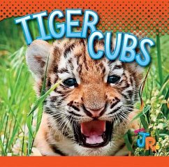 Tiger Cubs - Besel, Jen