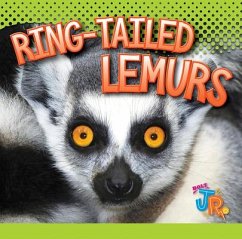 Ring-Tailed Lemurs - Storm, Marysa