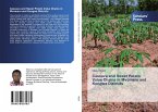Cassava and Sweet Potato Value Chains in Mvomero and Kongwa Districts