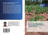 Cassava and Sweet Potato Value Chains in Mvomero and Kongwa Districts