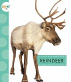 Reindeer