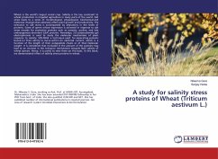 A study for salinity stress proteins of Wheat (Triticum aestivum L.) - Gore, Nileema;Harke, Sanjay