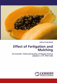 Effect of Fertigation and Mulching
