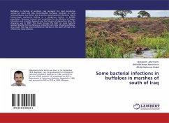 Some bacterial infections in buffaloes in marshes of south of Iraq - Jafar Karim, Abdulkarim;Abbas Mohammed, IBRAHIM;Mahmood Khalaf, JENAN