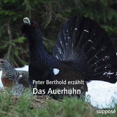 Das Auerhuhn (MP3-Download) - Berthold, Peter; Sander, Klaus