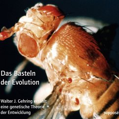 Das Basteln der Evolution (MP3-Download) - Gehring, Walter J.; Sander, Klaus